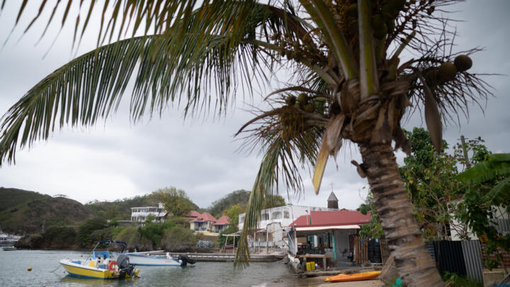 A French woman from the Caribbean island of Guadeloupe has been identified as the only known carrier of a new blood type.