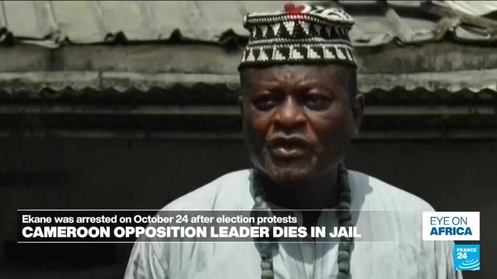 Cameroon opposition figure Anicet Ekane dies in detention