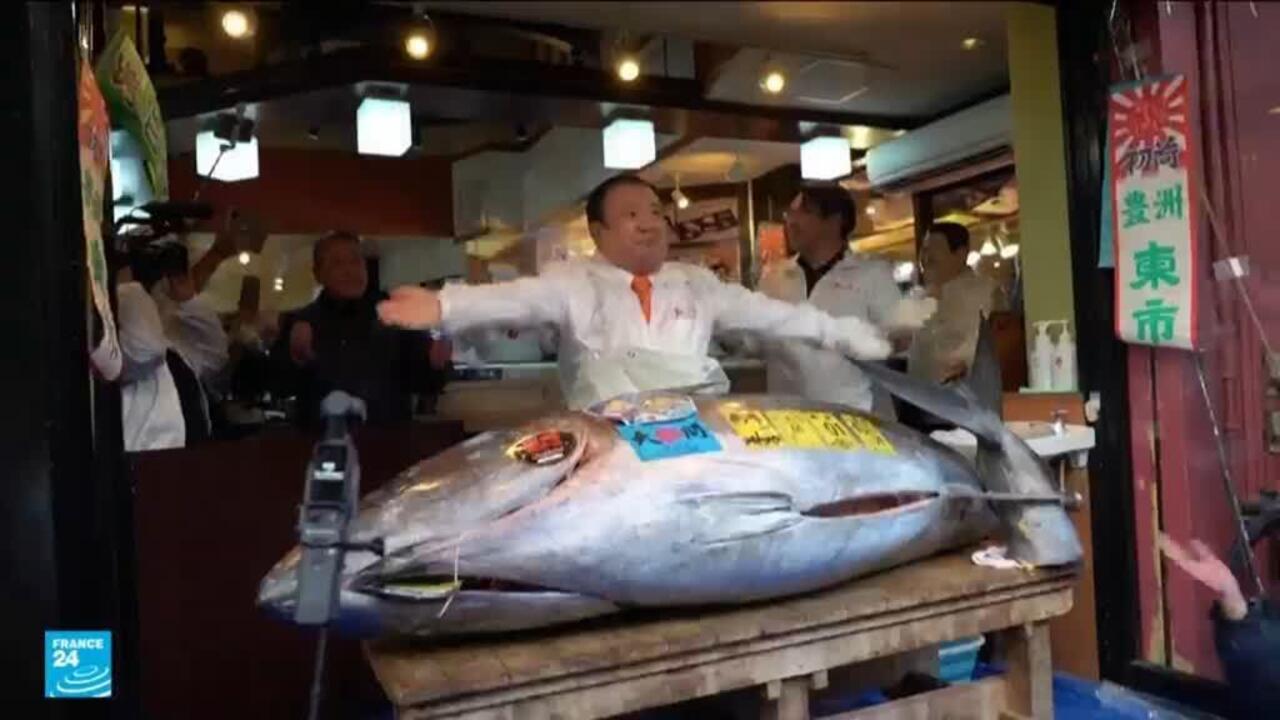 سمكة تونة حمراء تحطم الرقم القياسي بسعر فاق 3 ملايين دولار في مزاد في طوكيو
