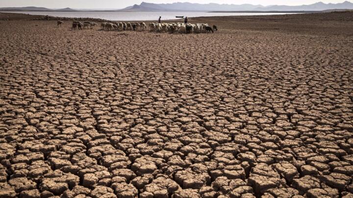 A herd of sheep walk over cracked earth at al-Massira dam in Ouled Essi Masseoud village, some 140 kilometres (85 miles) south of Morocco's economic capital Casablanca, August 8, 2022.
