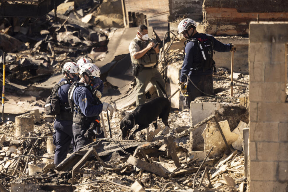 Un chien renifleur et des pompiers sont à la recherche de corps enfouis sous les décombres de l'incendie de Los Angeles, en Californie le 14 janvier 2025