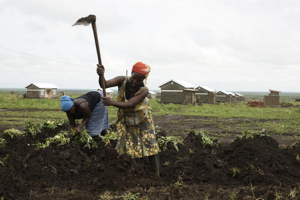 Deux femmes travaillent dans un champ en Ouganda, le 7 juin 2019. Image d'illustration.