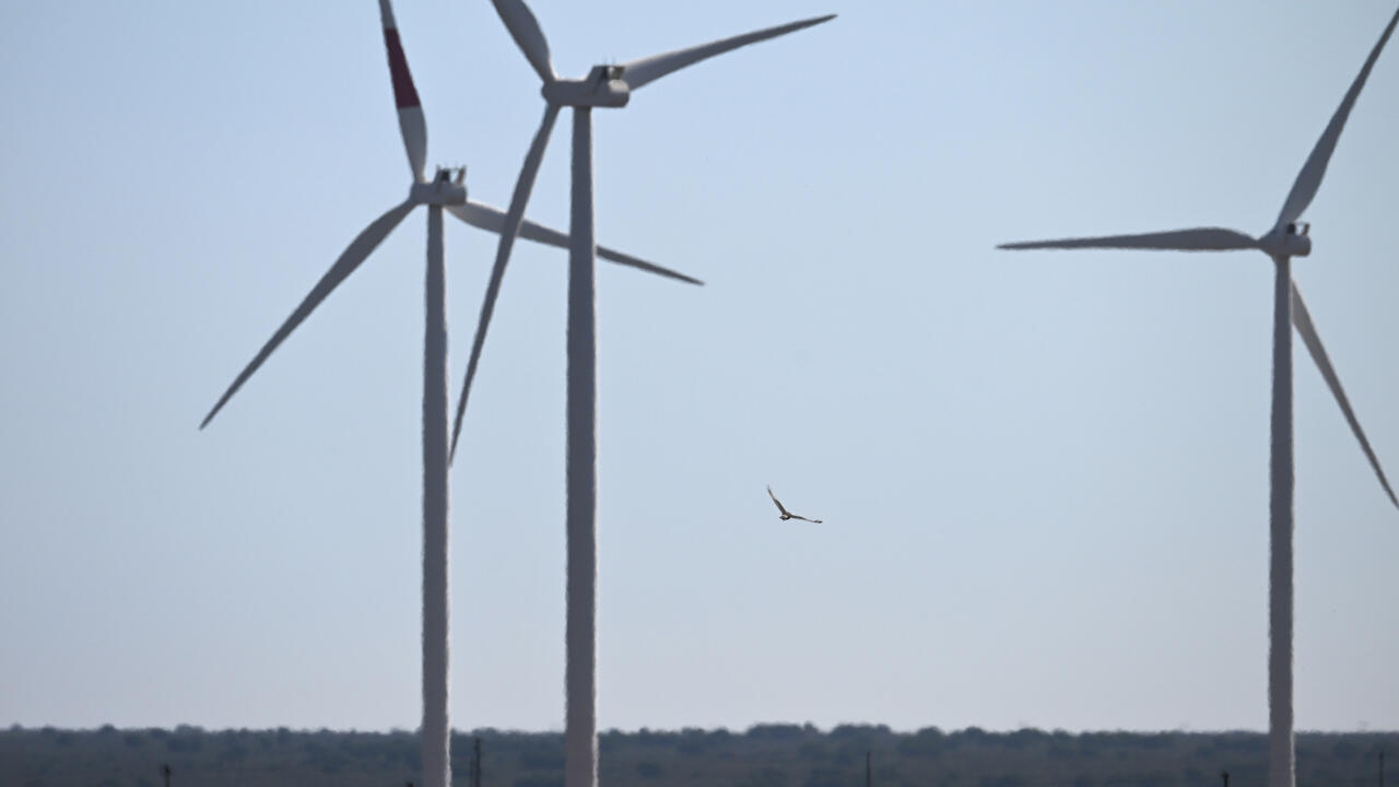 Shortly after his return to power in January, Trump moved to block all new permits for windfarms on federal lands and waters