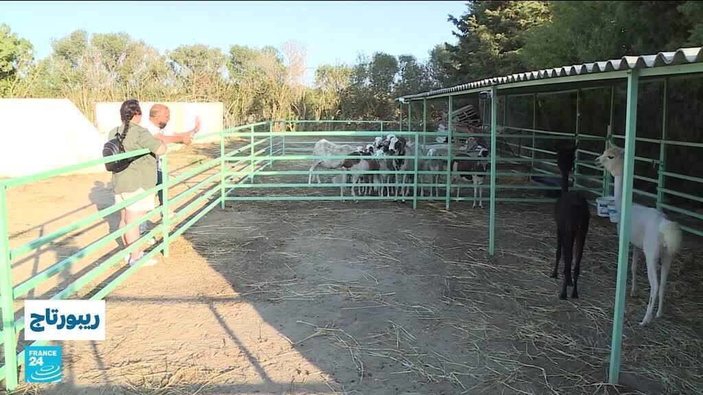 ضيعة "عجب".. أول حديقة حيوانات خاصة في تونس