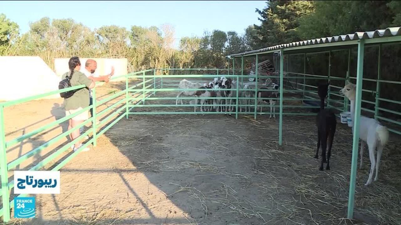 ضيعة "عجب".. أول حديقة حيوانات خاصة في تونس