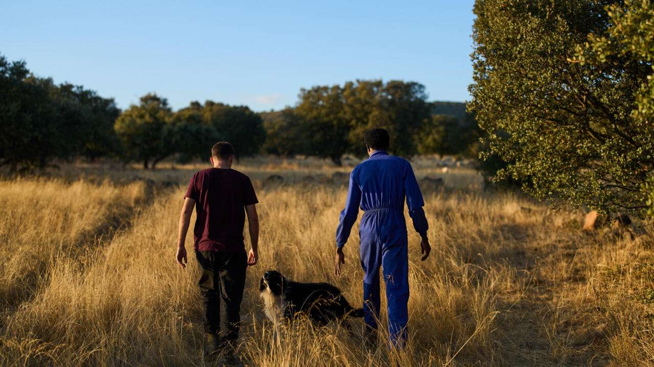 Why Spain is offering amnesty to 500,000 undocumented migrants