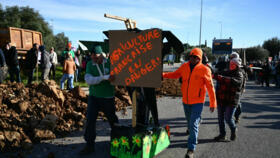 Farmers move a mock-up gallows with a message reading "France's agriculture in danger" as they block a road during a nationwide protest, in Le Cannet-des-Maures, France, on November 18, 2024.