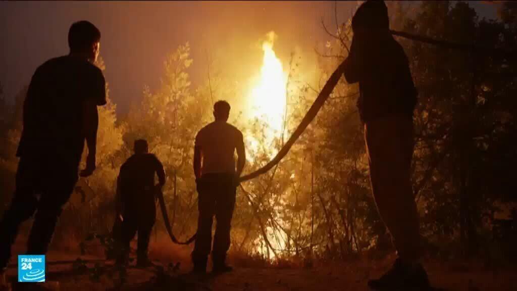 تشيلي: مقتل 20 شخصا في حرائق غابات وتجدد النيران يعقّد مهمة عناصر الإطفاء