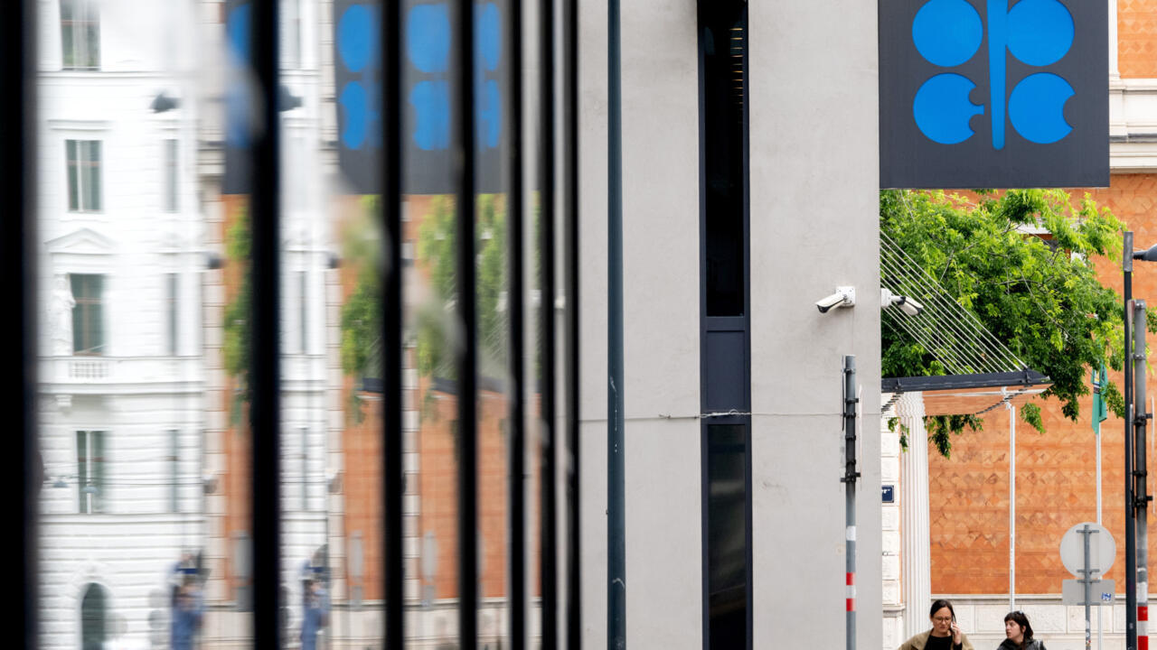 france24.com - How successful has OPEC+'s oil output policy been in 2025?