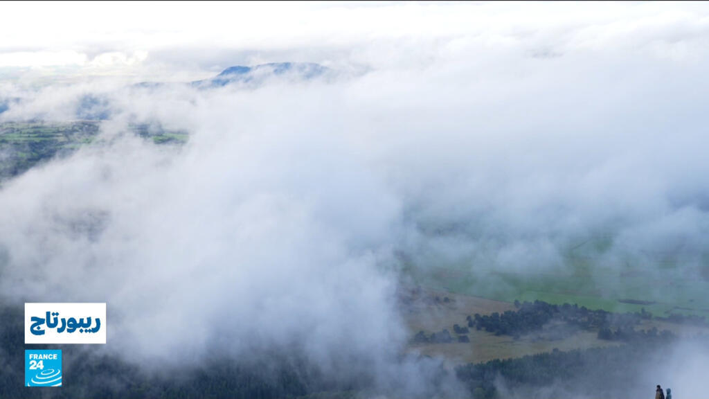 غيوم فرنسا "ملوثة".. 140 طنا من المبيدات الحشرية فوق رؤوسنا؟