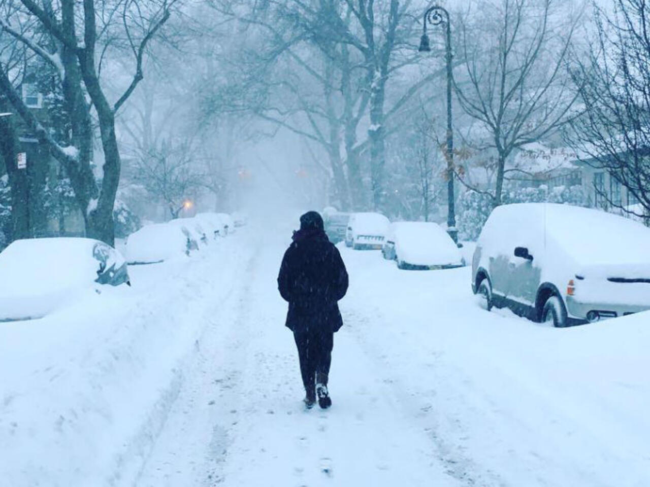 In Pictures Winter Storm Jonas Looms Large On Social Media In Pictures Winter Storm Jonas Looms Large On Social Media