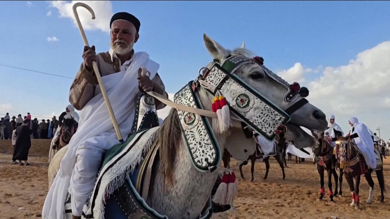 صناعة السروج التقليدية.. إرث ثقافي تحفظه أيادي الحرفيين الليبيين من الاندثار