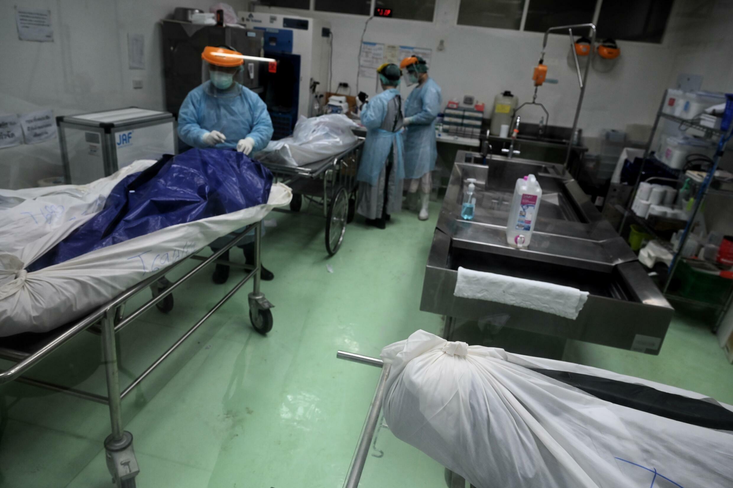 Hospital Morgue Jobs Near Me 58 - 8y7d6l3