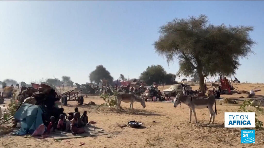 Fears of mass atrocities after Sudan's El-Fasher falls to paramilitaries