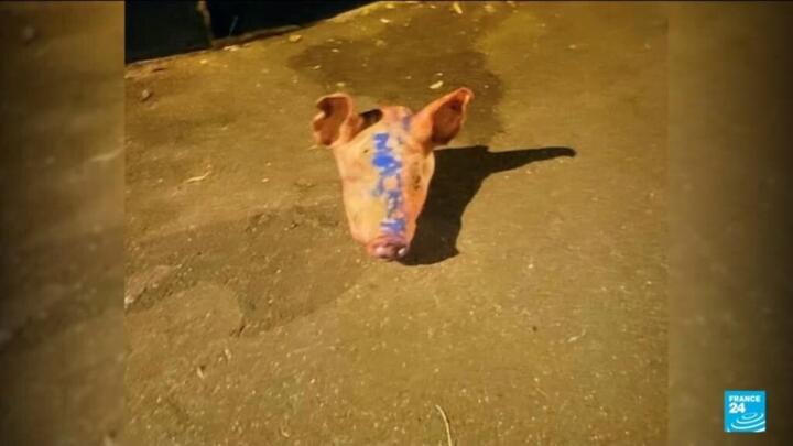 Pigs' heads left outside mosques in Paris region