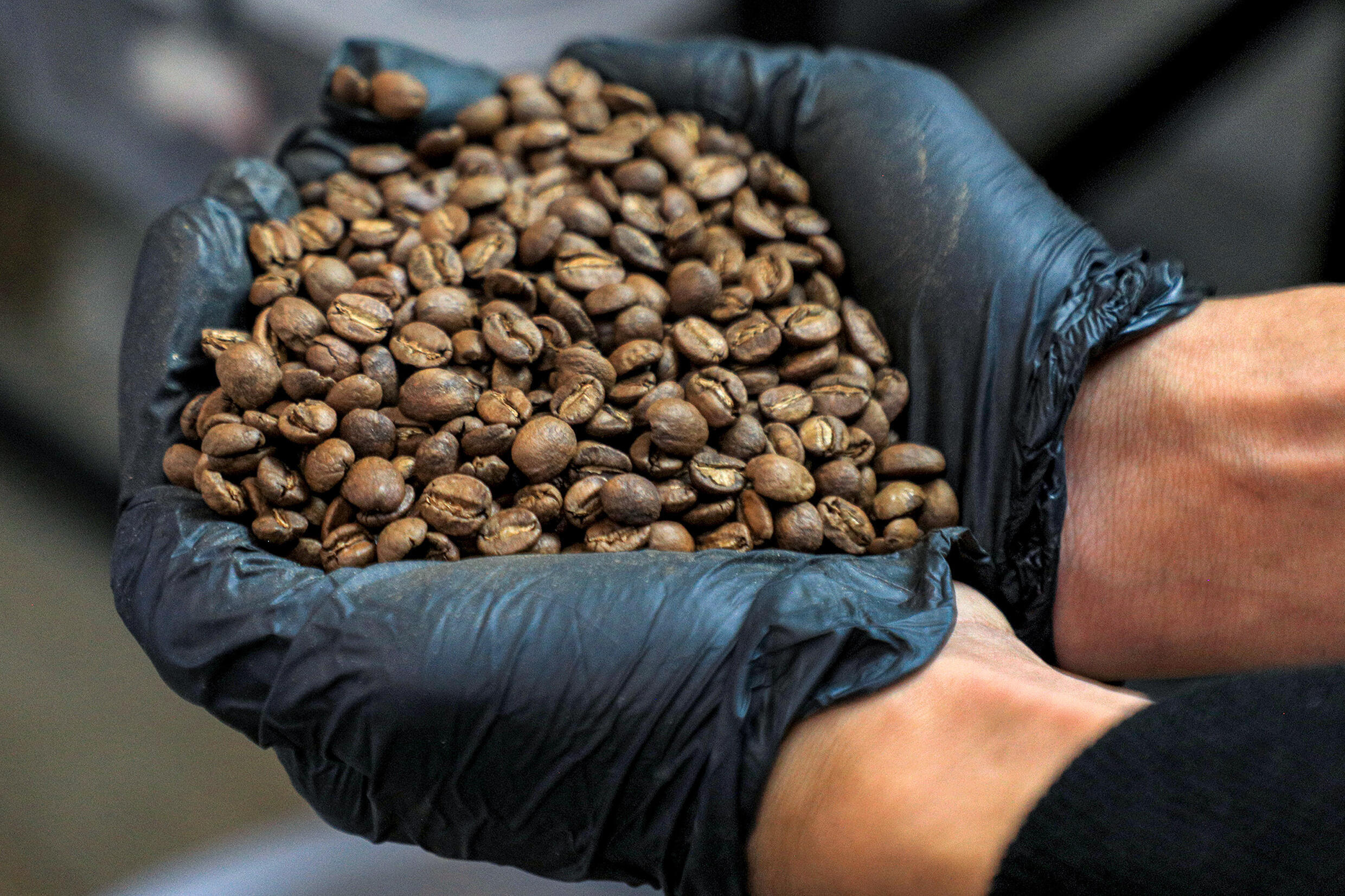 Yemen speciality coffee 'wave' sweeps warhit capital