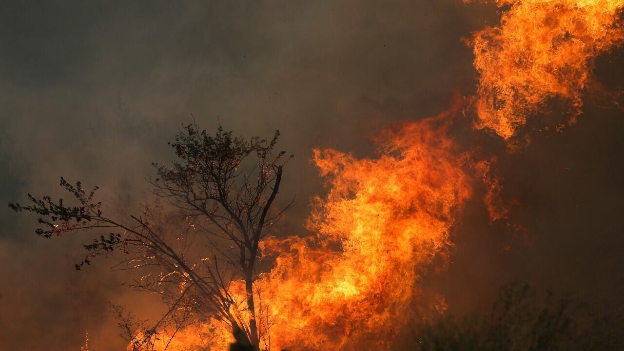 Un incendio forestal arde en Ourem, distrito de Santarem, Portugal, el 12 de julio de 2022.