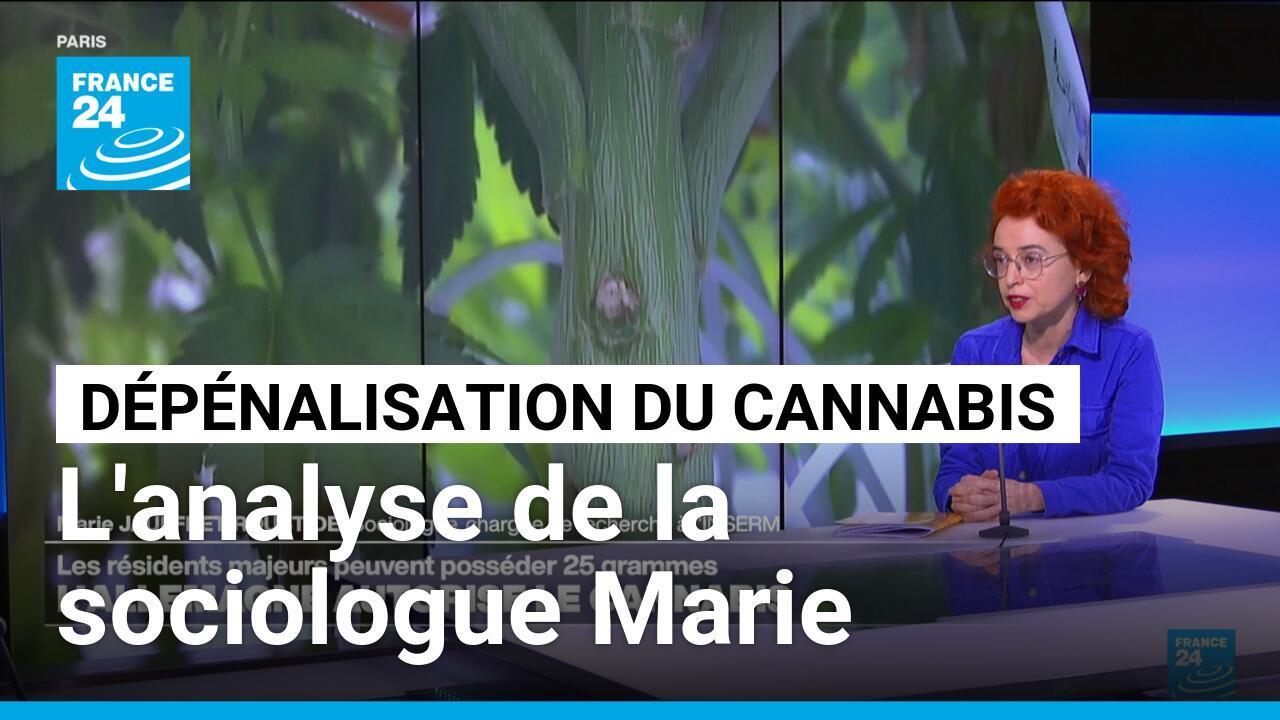 L'Allemagne autorise le cannabis