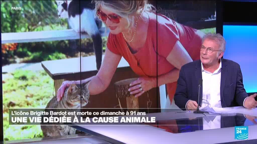 Mort de Brigitte Bardot, légende du cinéma français et de la cause animale