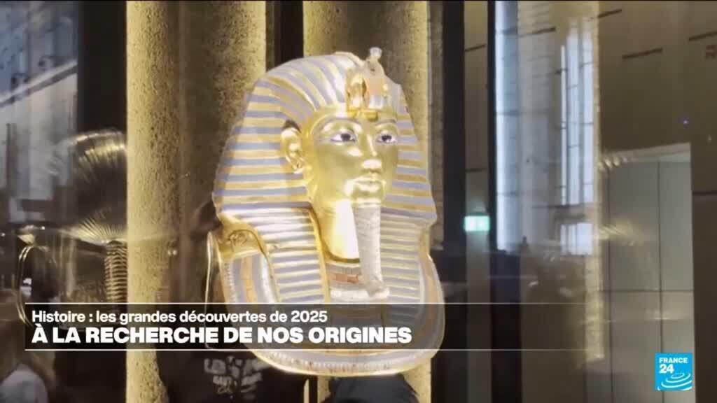 Histoire : les grandes découvertes de 2025