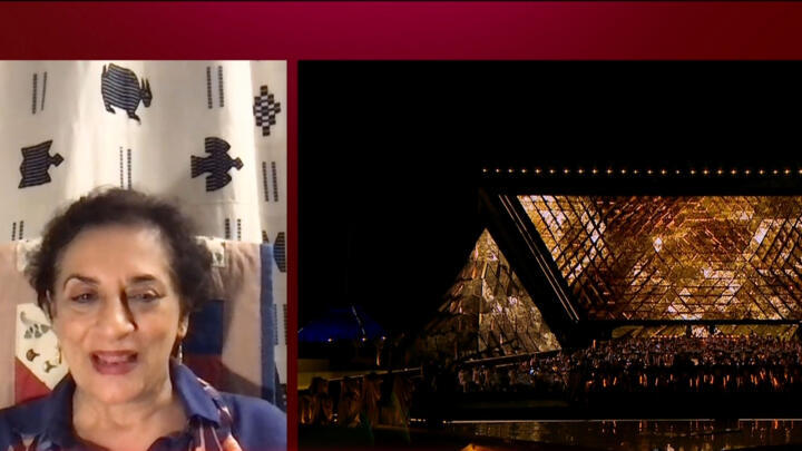 Salima Ikram, Distinguished Professor of Egyptology at the American University in Cairo