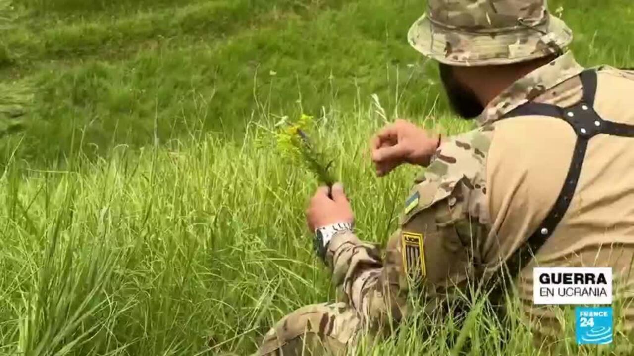 Ucrania así es la nueva división del batallón de Azov que lucha en