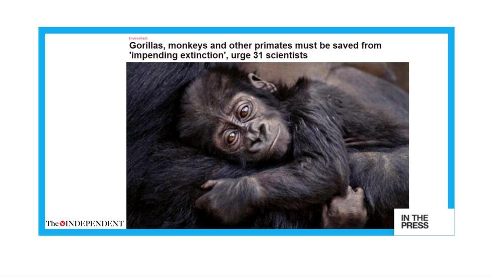 11th hour Scientists say primates facing 'imminent extinction' Press
