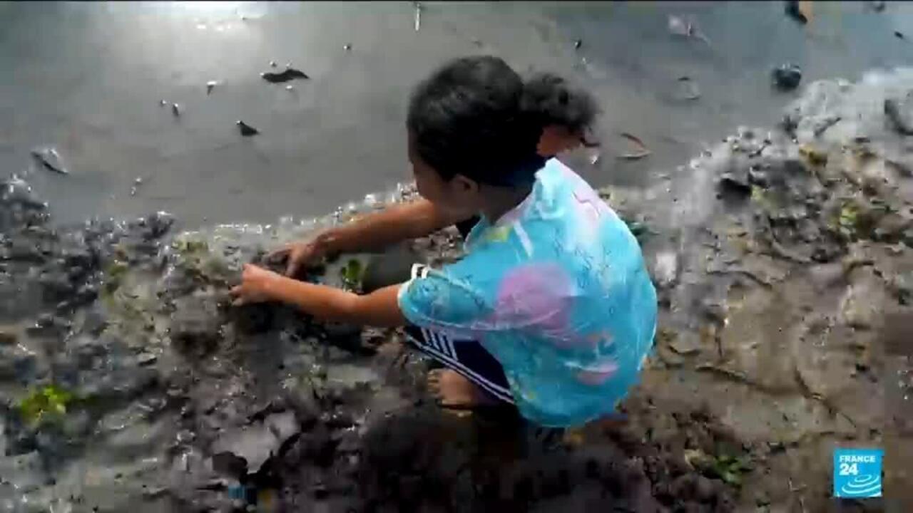 Fighting climate change with imaginative methods in East-Timor Fighting climate change with imaginative methods in East-Timor