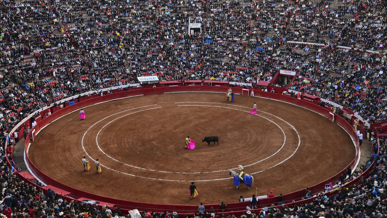 Mexico City Bullfight Schedule 2022 In Mexico City, Bullfighting, A 500-Year-Old Tradition, Could Be Banned -  Teller Report