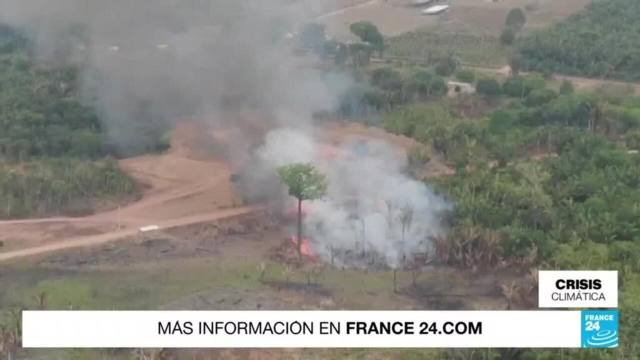Incendios en Brasil por la ola de calor arrasan hectáreas de bosque