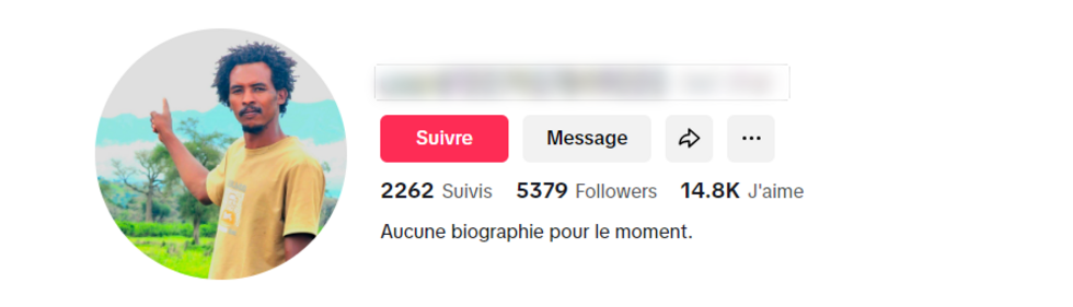Screenshot of the TikTok account under the name “Abdallah al-Saka”. Blurring by FRANCE 24.