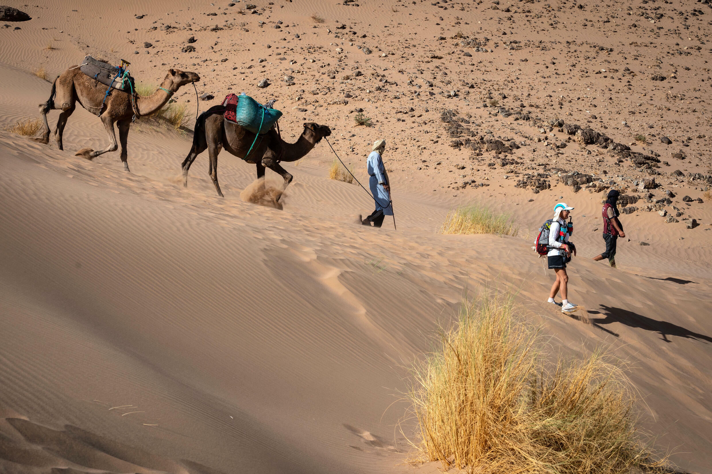 Blisters, diarrhoea, comas Marathon runners battle Moroccan desert