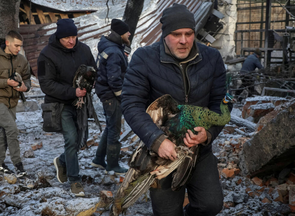 Des employés sauvent des oiseaux dans un zoo privé touché par une frappe aérienne russe, près de Kharkiv, en Ukraine, le 1er janvier 2026.
