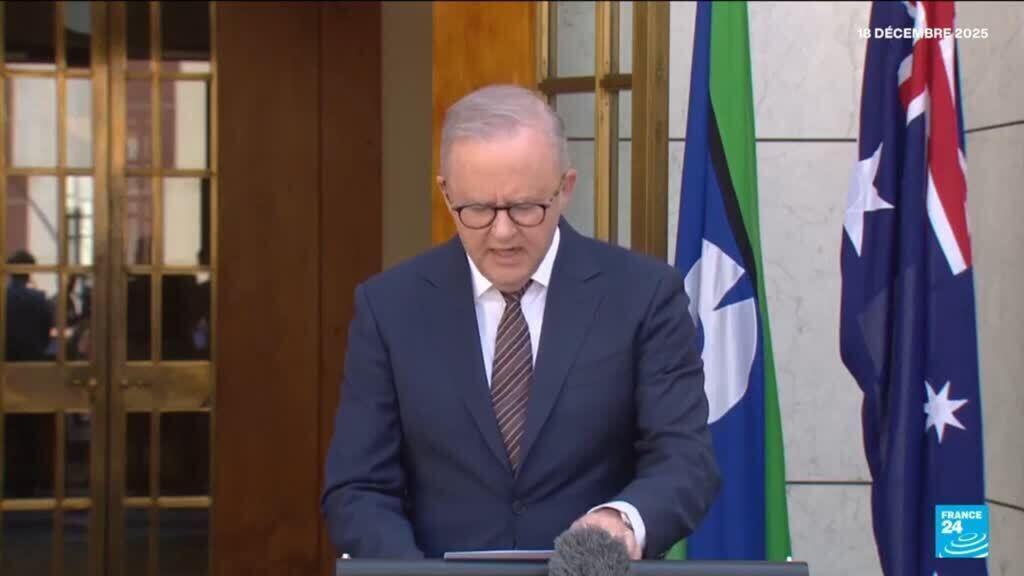 Attentat de Sydney : le Premier ministre annonce un programme de rachat des armes à feu