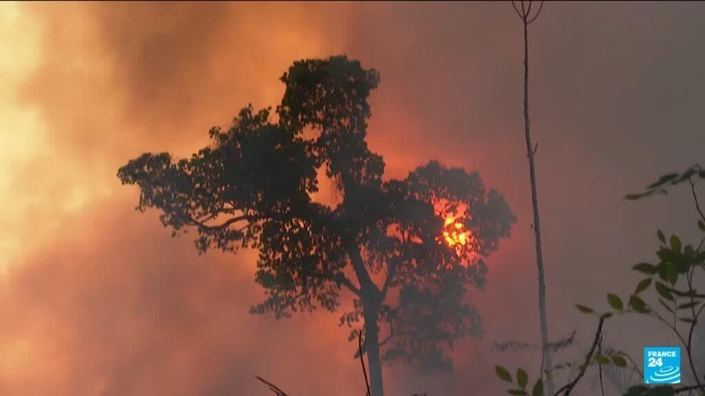 L'année 2025, encore l'une des plus chaudes jamais mesurées... et 2026 ?