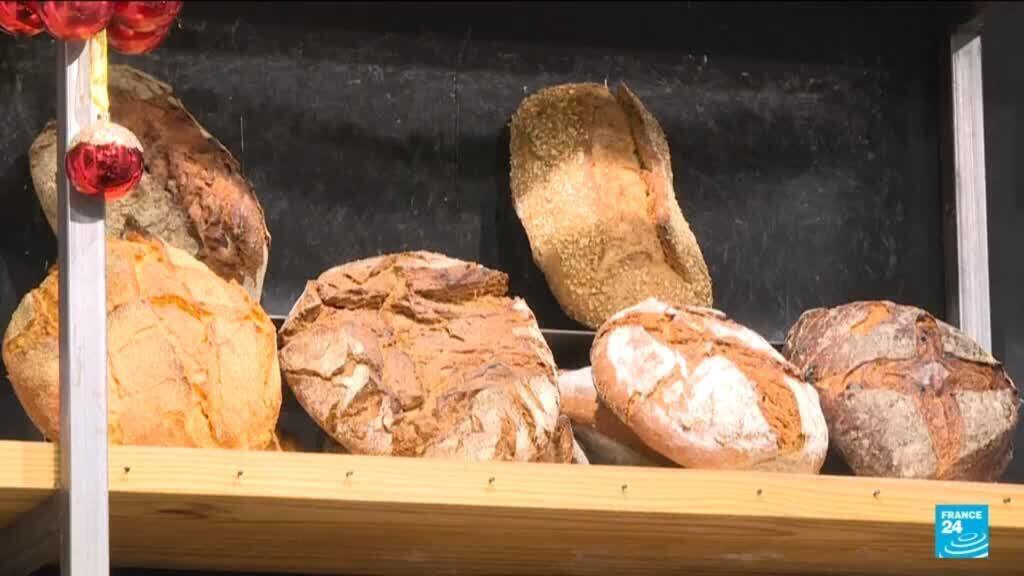 الحبوب والخبز والمعكرونة وغيرها من الأطعمة تحتوي على هذه المادة الكيميائية إلى الأبد، وفقا لبحث جديد