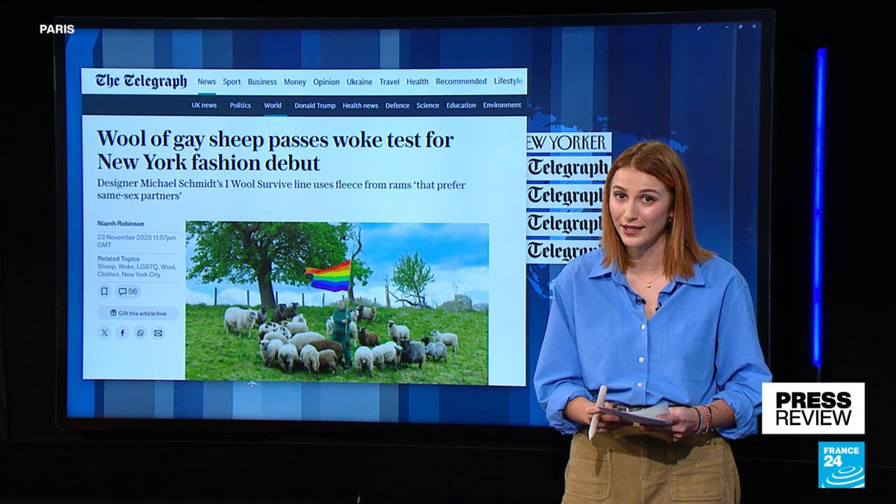 Gay sheep’s wool used by fashion designer to make a statement
