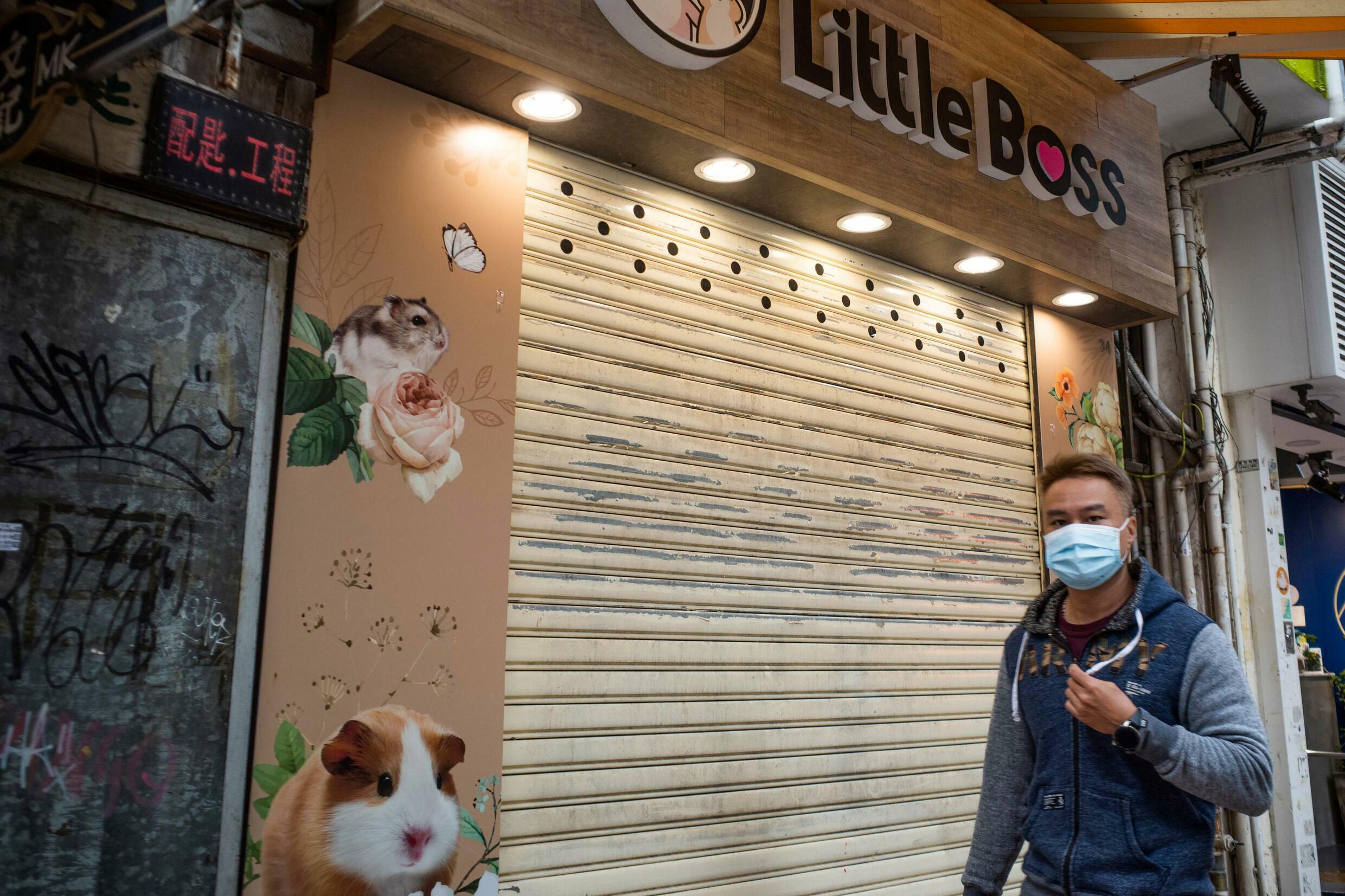 Covid fureur à Hong Kong à propos de l'élimination massive de hamsters