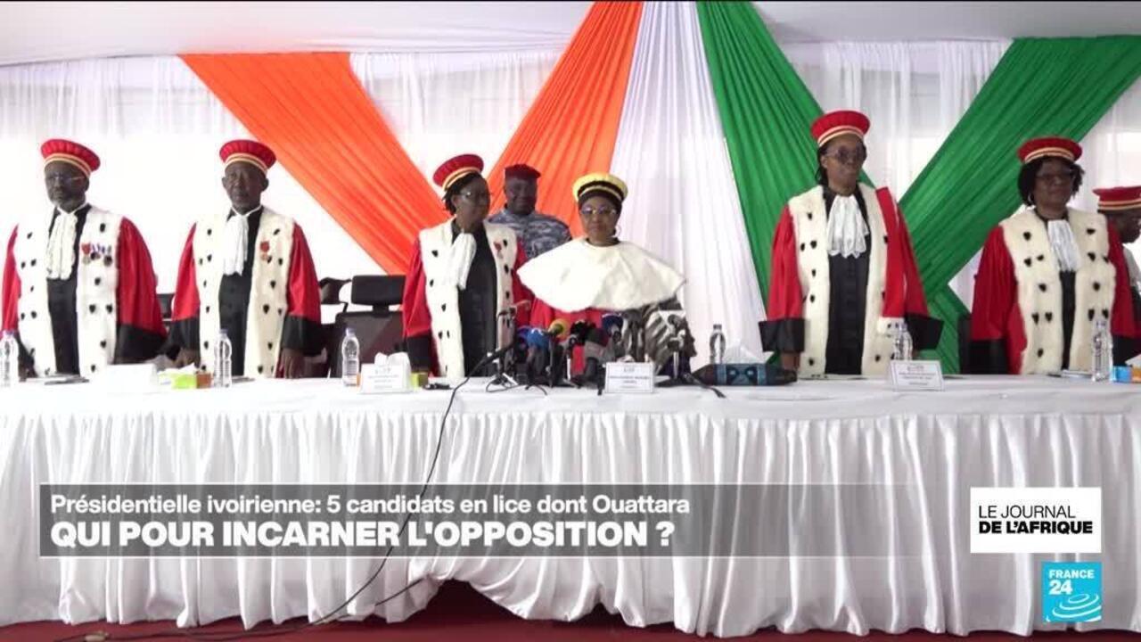 Présidentielle en Côte d'Ivoire: Qui pour incarner l'opposition ?