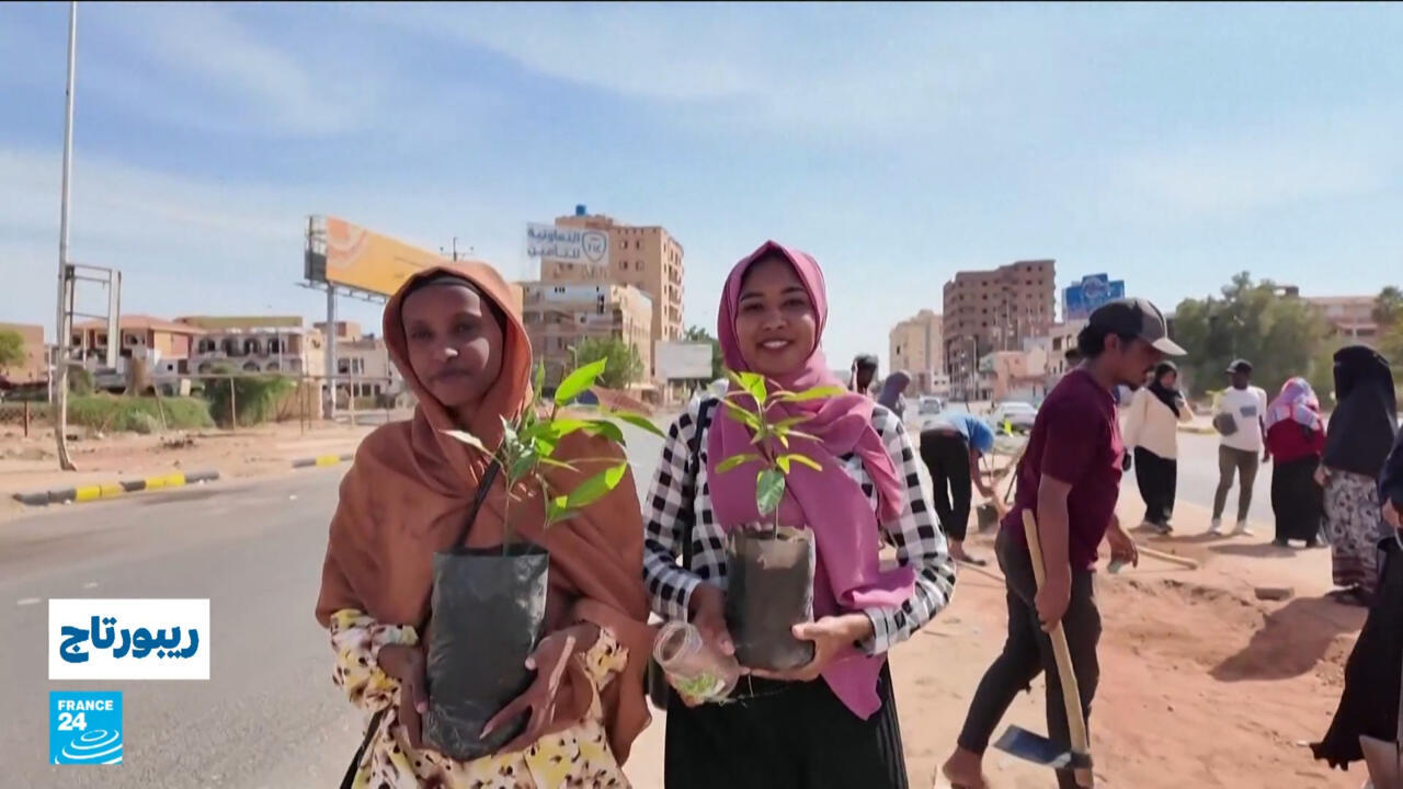 السودان: مبادرة "الألف شجرة" لجعل الخرطوم أكثر خضرة