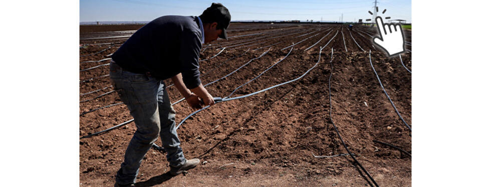 Un agriculteur dans un champ de pommes de terre à Berrechid, province marocaine située au sud-est de Casablanca, le 7 février 2024.