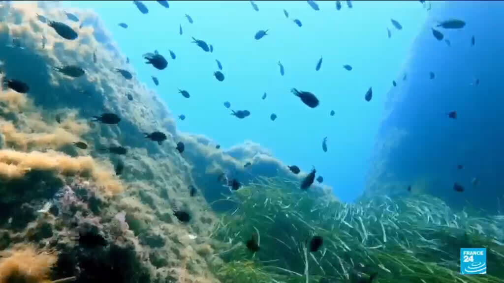Key oceans treaty crosses threshold to come into force