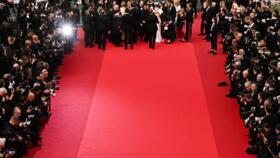 A general review of the red carpet at the 68th Cannes Film Festival.