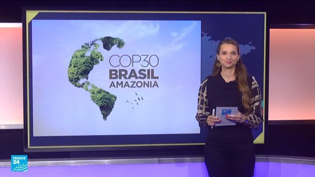 هل قطعت البرازيل غابات الأمازون لاستضافة قمة المناخ؟