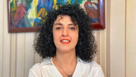 Iranian human rights activist and the vice president of the Defenders of Human Rights Center (DHRC) Narges Mohammadi poses in this undated handout picture. 