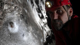This handout photo shows a cave explorer examining a large spider web at Sulfur Cave on the Greece-Albania border in October 21, 2021.