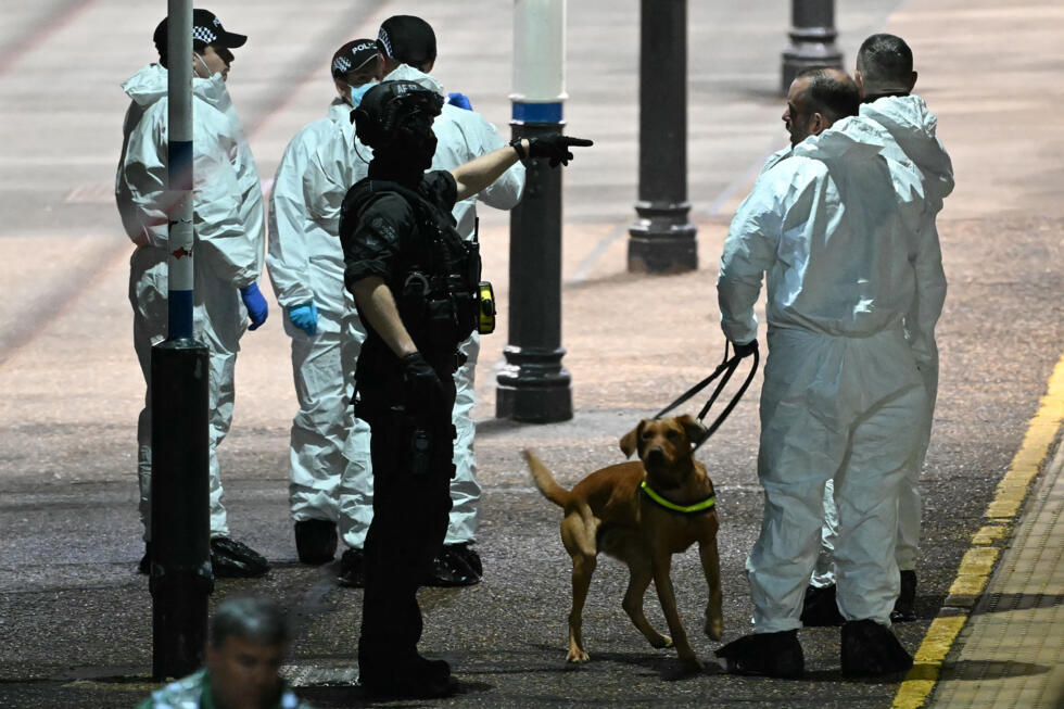 Police officers and a dog handler work on the platform alongside an LNER Azuma train at Huntingdon Station in Huntingdon, eastern England, on November 1, 2025, following a stabbing on a train.