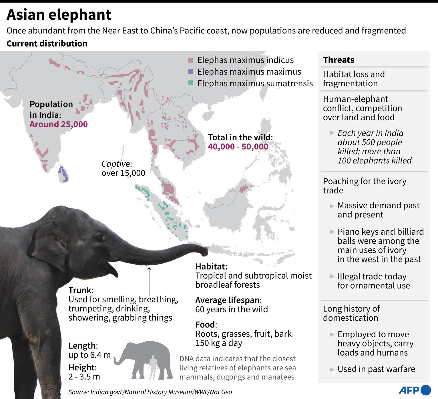 India's bornagain elephants repel fourlegged rampages