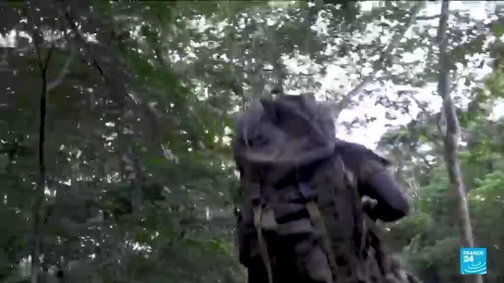 Centrafrique : la réserve de Chinko, longtemps dévastée, se régénère