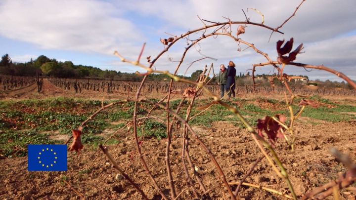 A fair deal for farmers: How to make agriculture pay in 2018 & beyond? (part 2)
